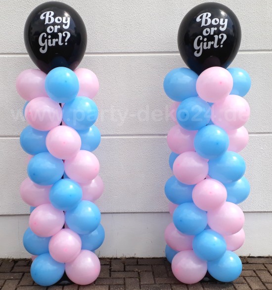Baby Party: Gender Reveal Party