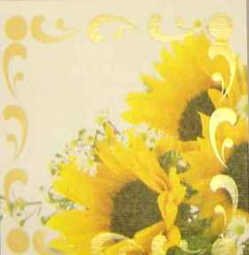 Beilegekarte: Sonnenblume