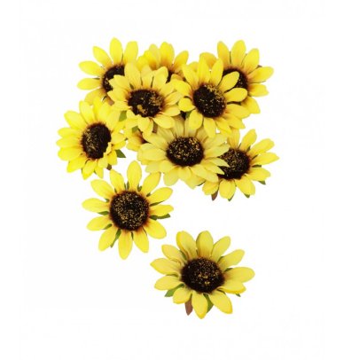 Sonnenblumen Blüten, 12 Stück