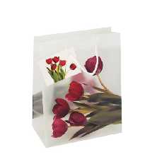 Geschenktaschen Rote Tulpen