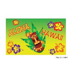 Aloha Hawaii Fahne