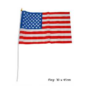 USA Flagge am Stab