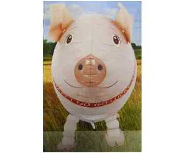 Glücksbringer Schwein als Ballon