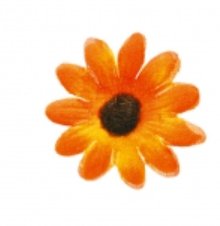 Dekoblumen farbige Margerite, orange