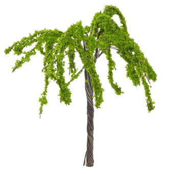 Mini-Baum Weide, 6 cm