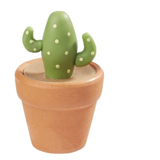 Miniatur Kaktus im Topf