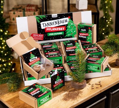 Tannenbaum Pflanzset, 1 Stück