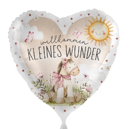Ballon Willkommen kleines Wunder Ballon Willkommen kleines Wunder