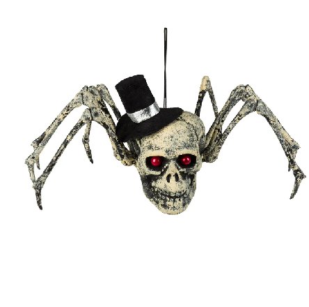 Halloween Spinnenschädel