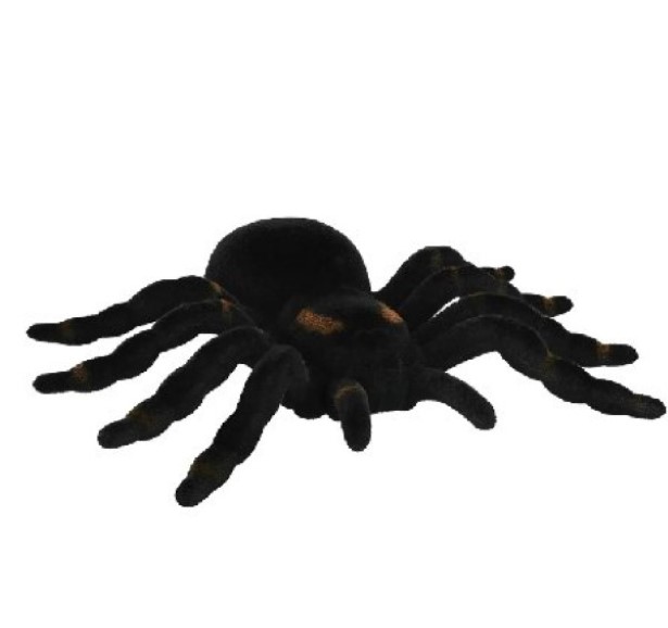 Dekoration Tarantula Spinne