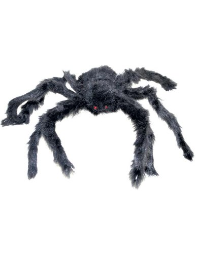 Schwarze Spinne, 40 cm