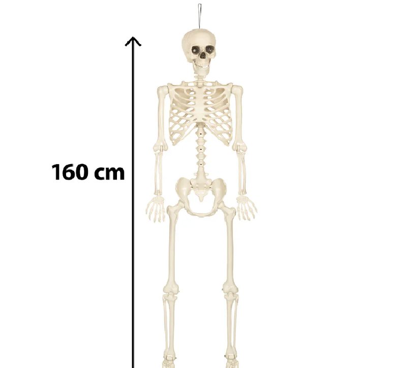 Hängedekoration Skelett