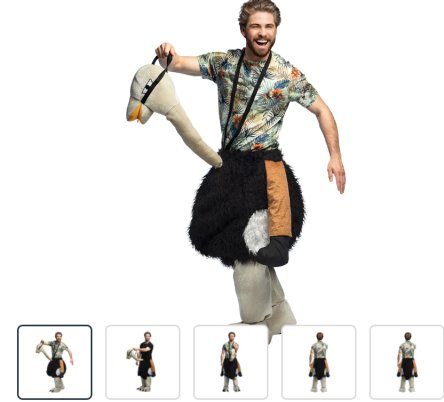 Karneval Kostüm Vogel Strauss