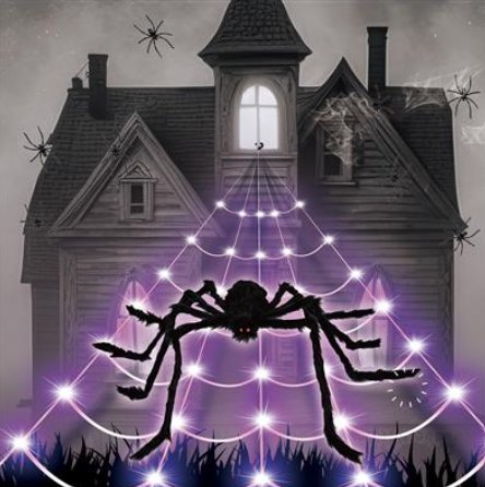 LED - Spinnennetz mit Spinne,5m