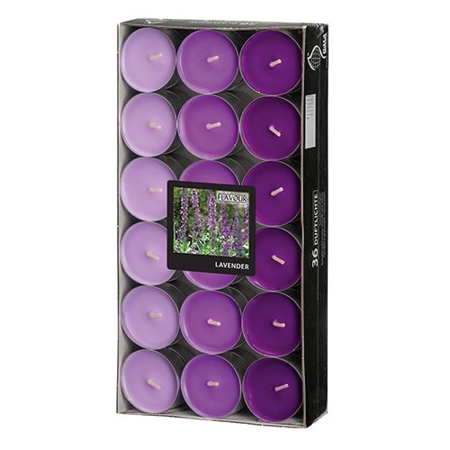 Duftlichte Lavendel, 36 Stück