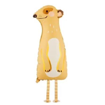 Erdmännchen stehend für Zooparty Erdmännchen stehend für Zooparty