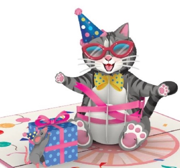 Katze Glückwunsch Pop-Up Karte Katze Glückwunsch Pop-Up Karte