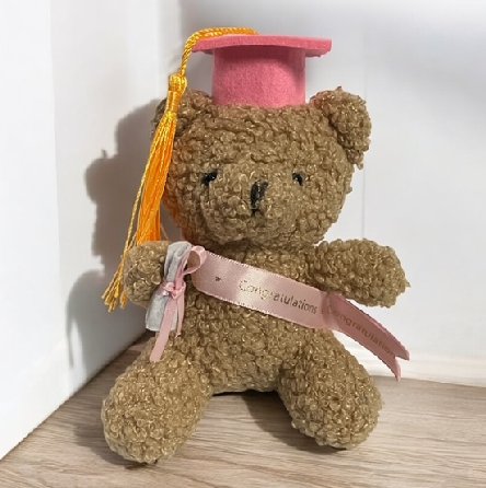 Prüfung bestanden - Plüschtier Bär mit Hut