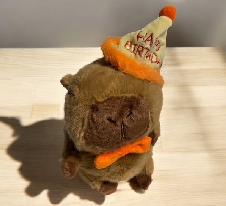 Capybara Geburtstag Plüschtier, 25 cm